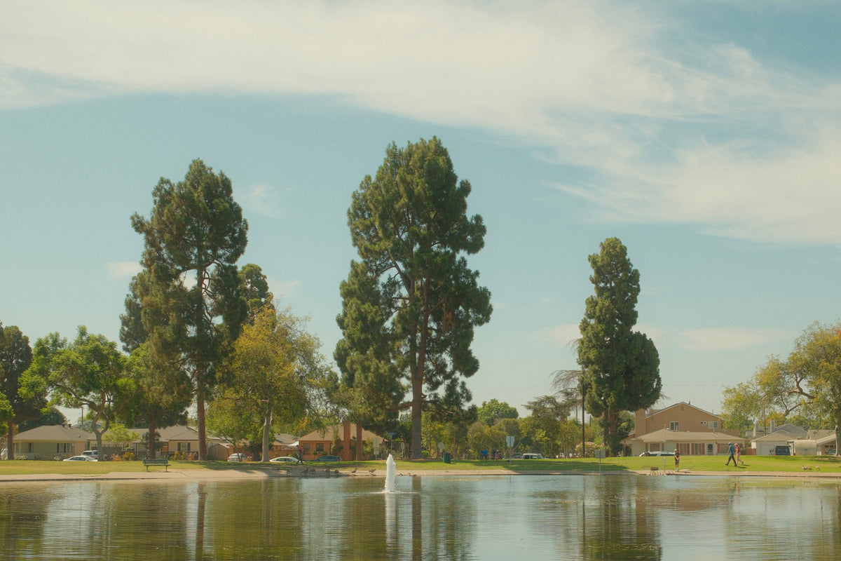 A scenic outdoor view of a calm lake with tall green trees, low-rise houses, and a fountain in the water under a pale blue sky with light clouds.